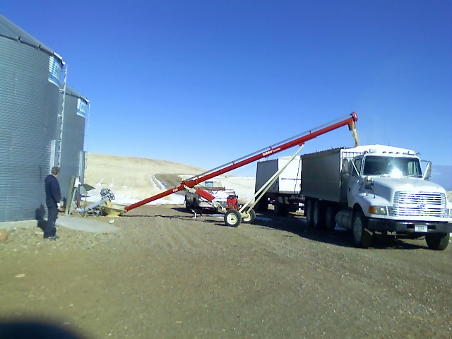 HaulnBarley