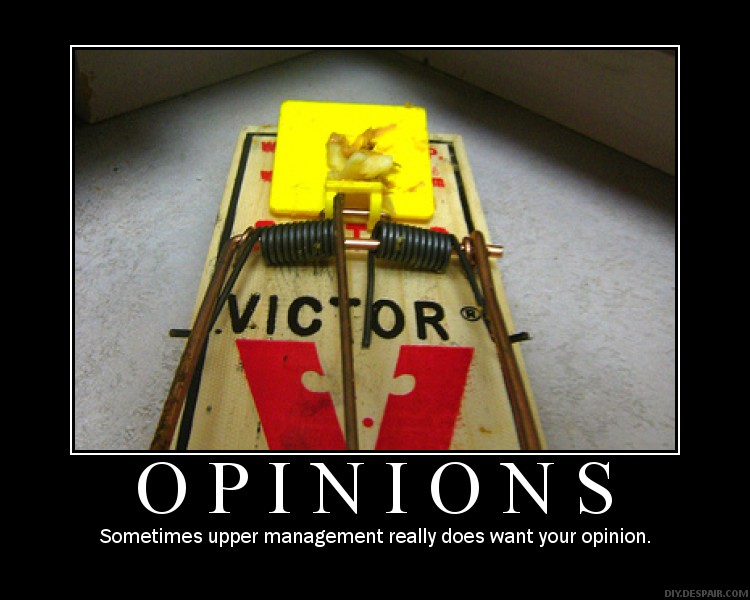 Opinions
