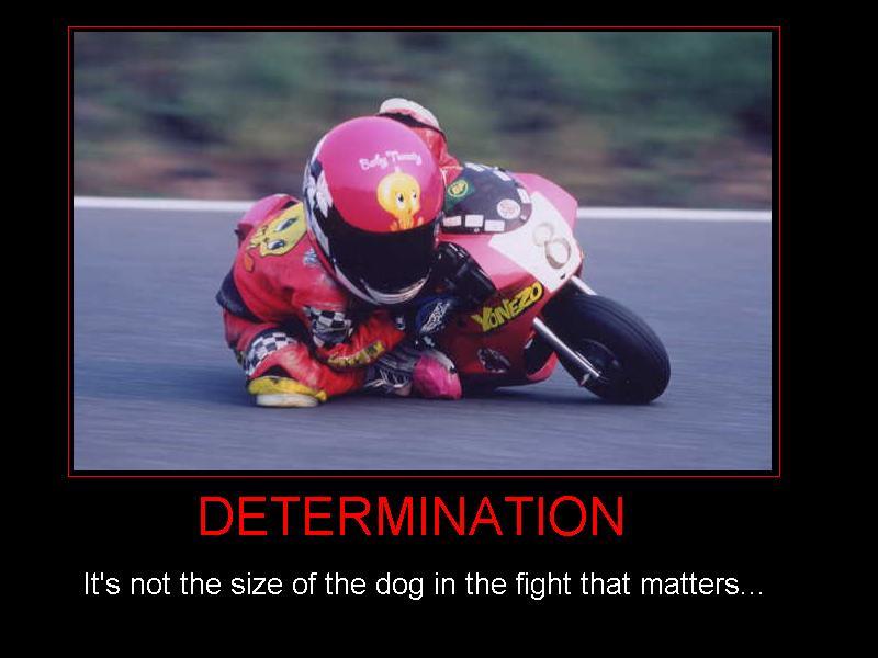 determination