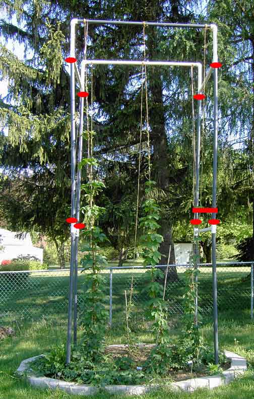 TRELLIS2