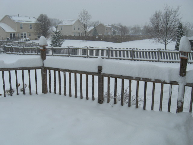 SnowyCincyinMarch