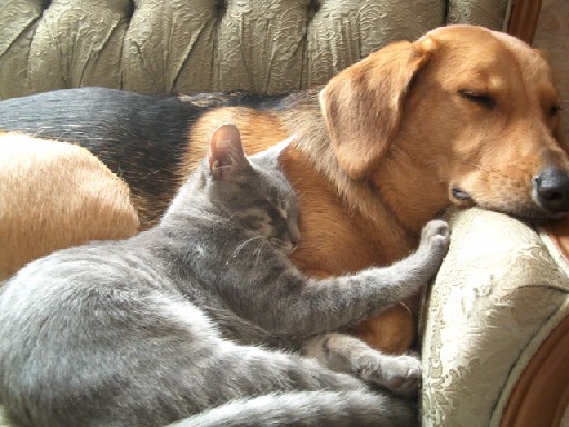 abby_otis_cuteness