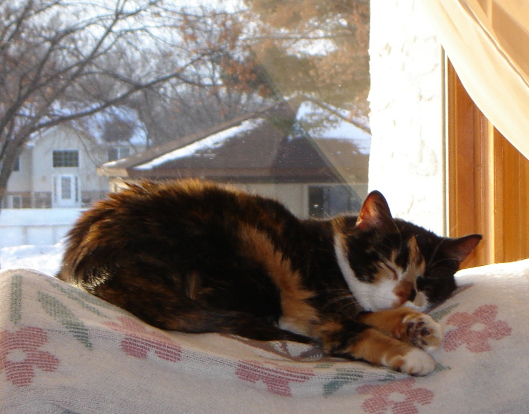 Frankie