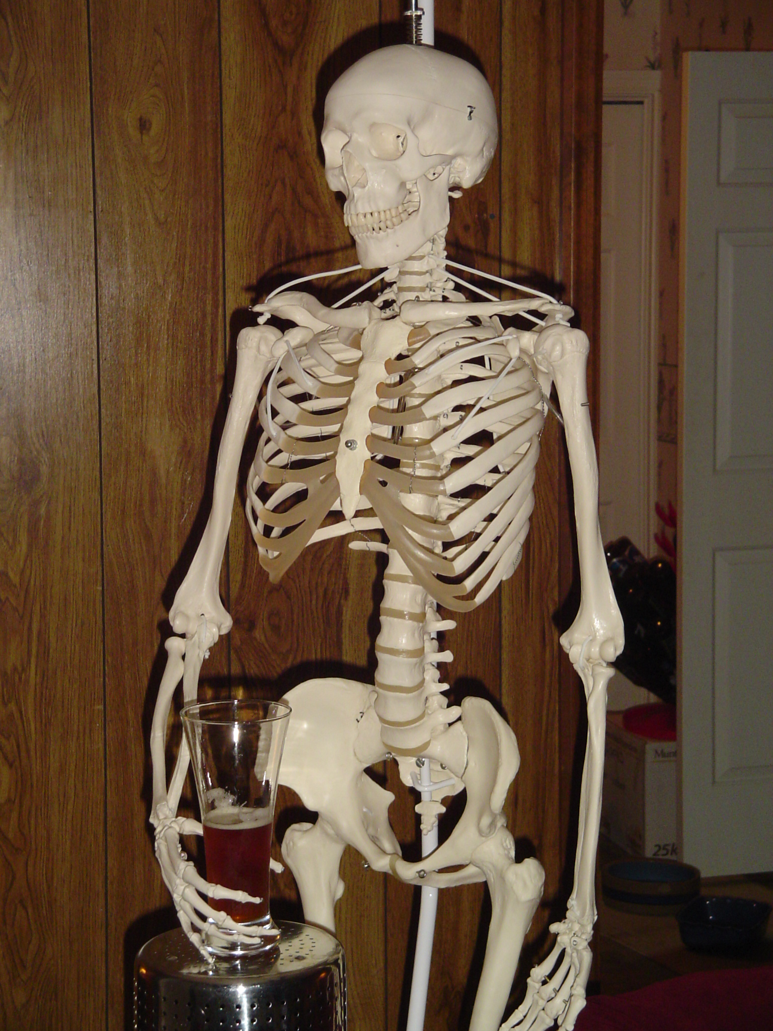 Skeleton_004