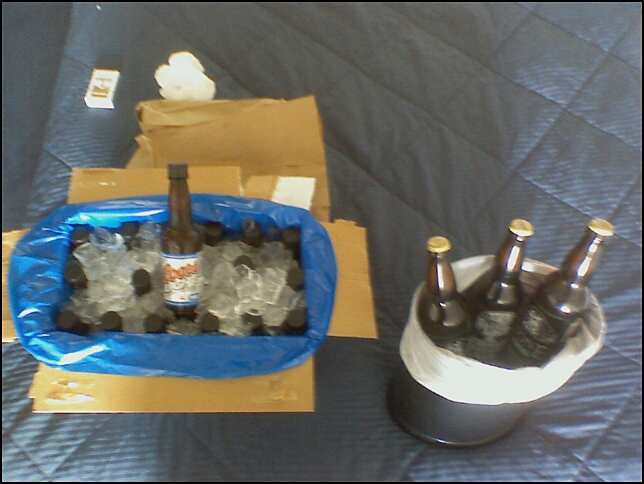 beers