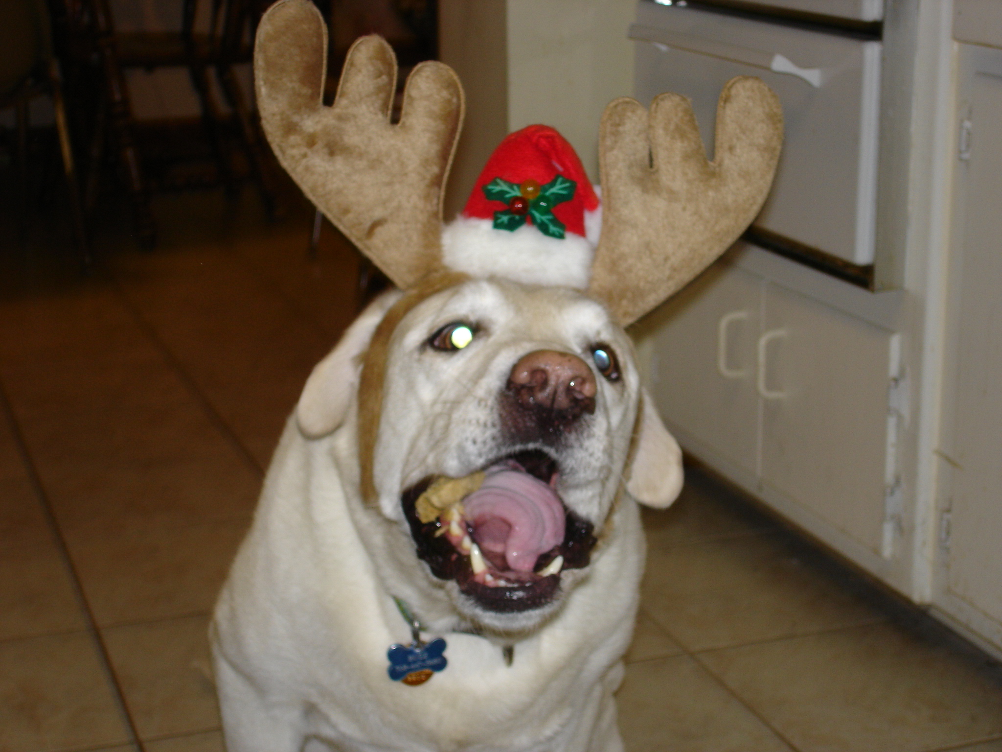 06_xmas_-_pops_birthday_010