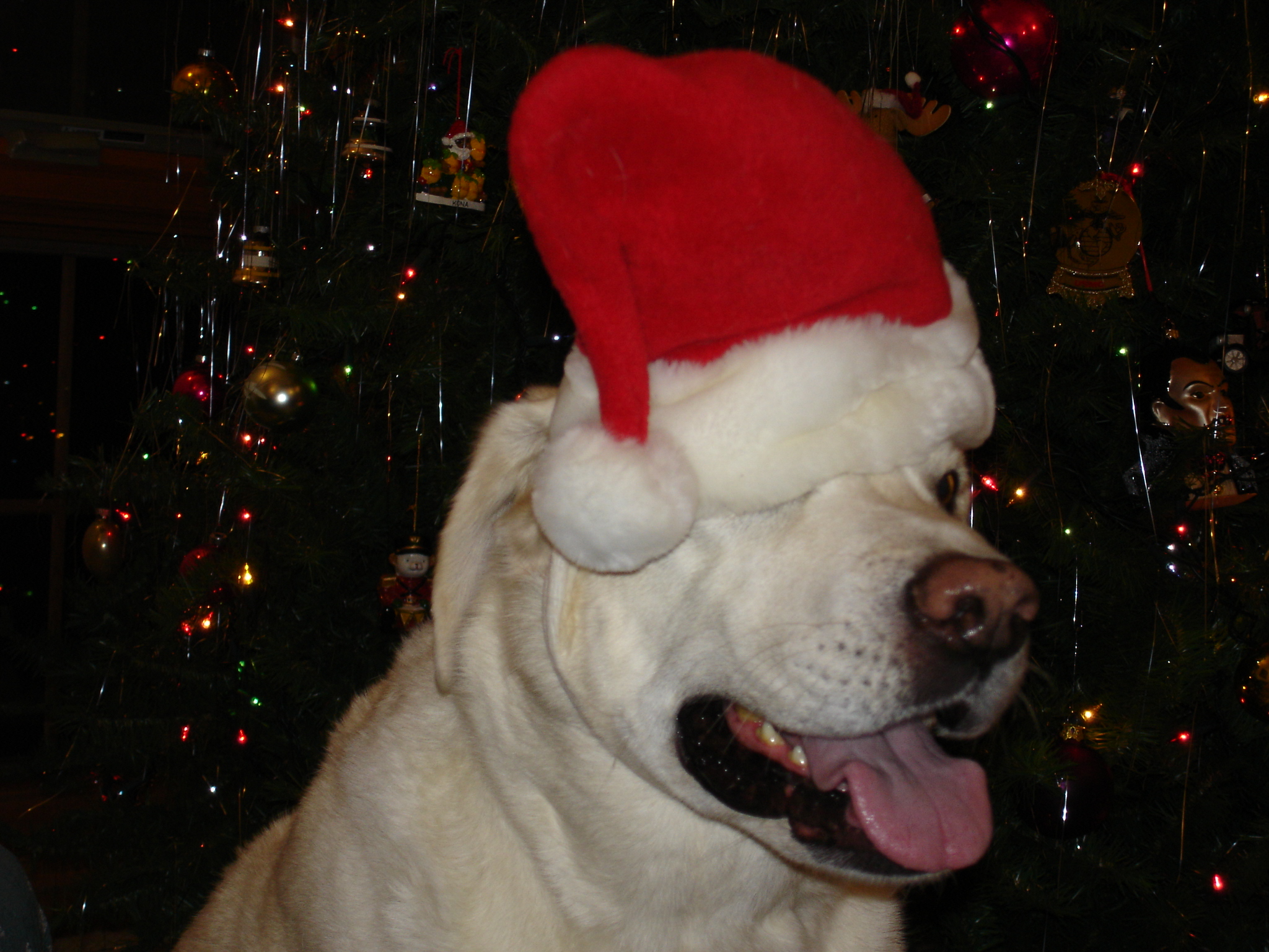 2006_Buzz_Sue_011