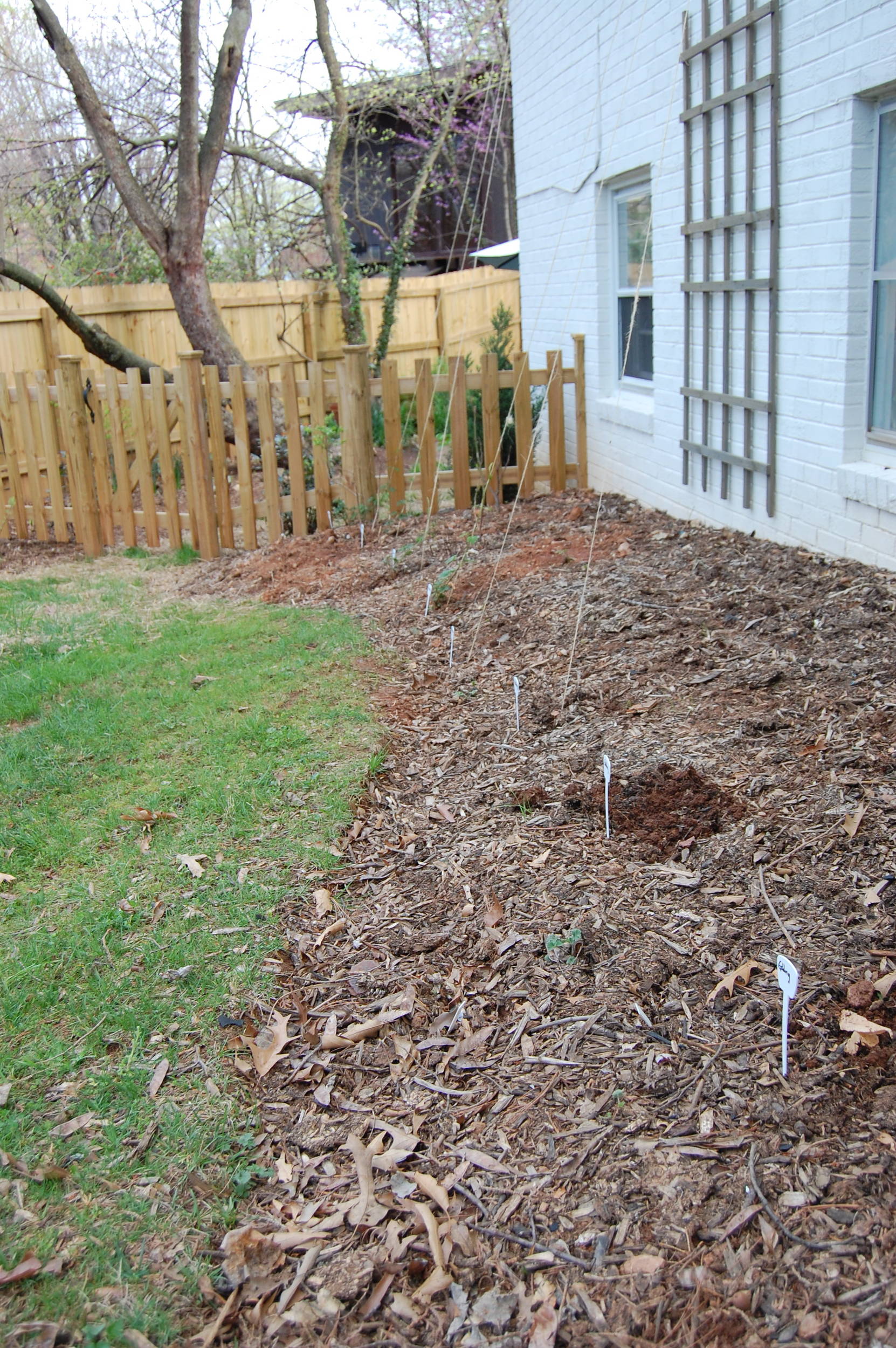hopgarden