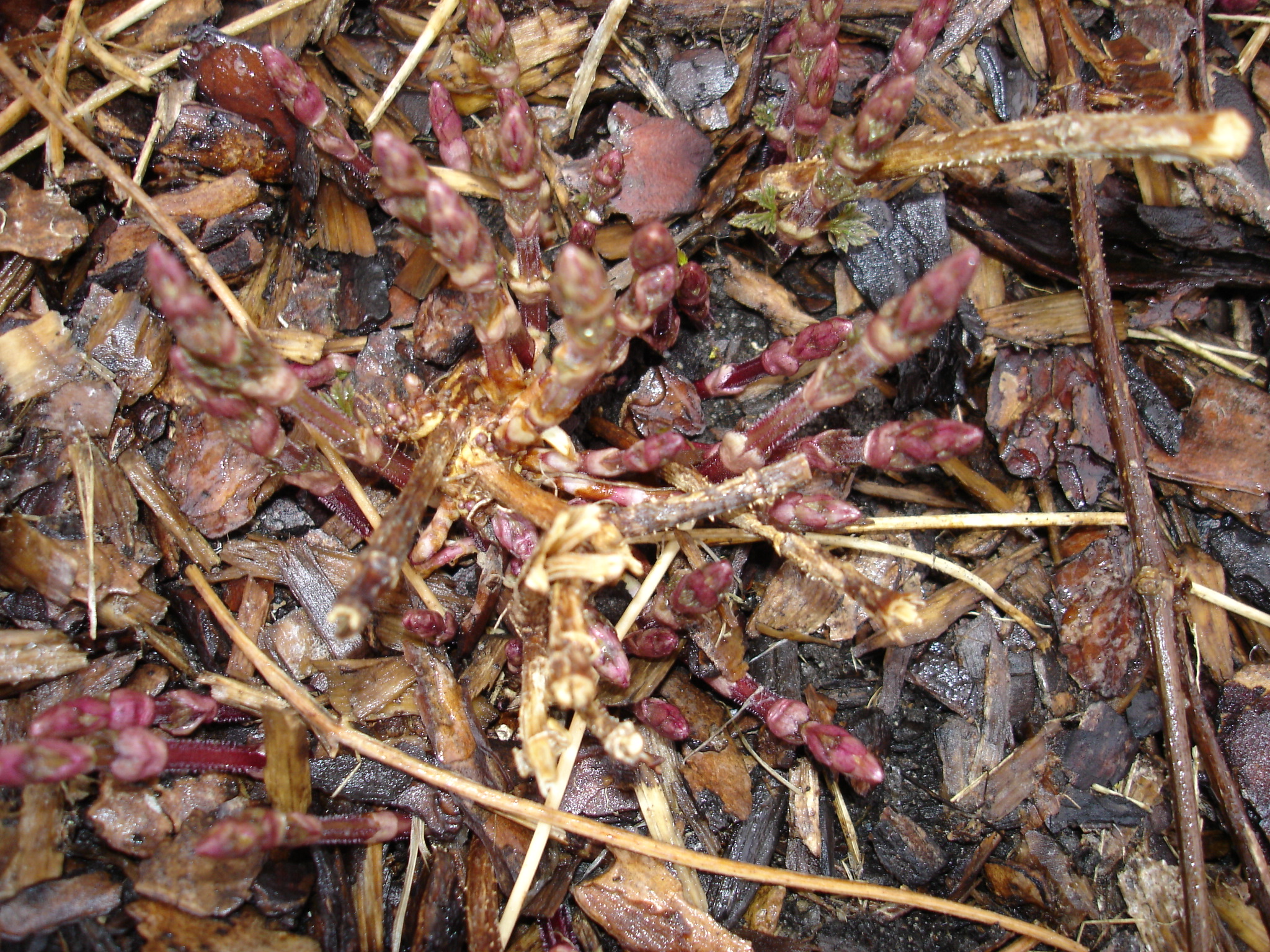 beer_photos_004