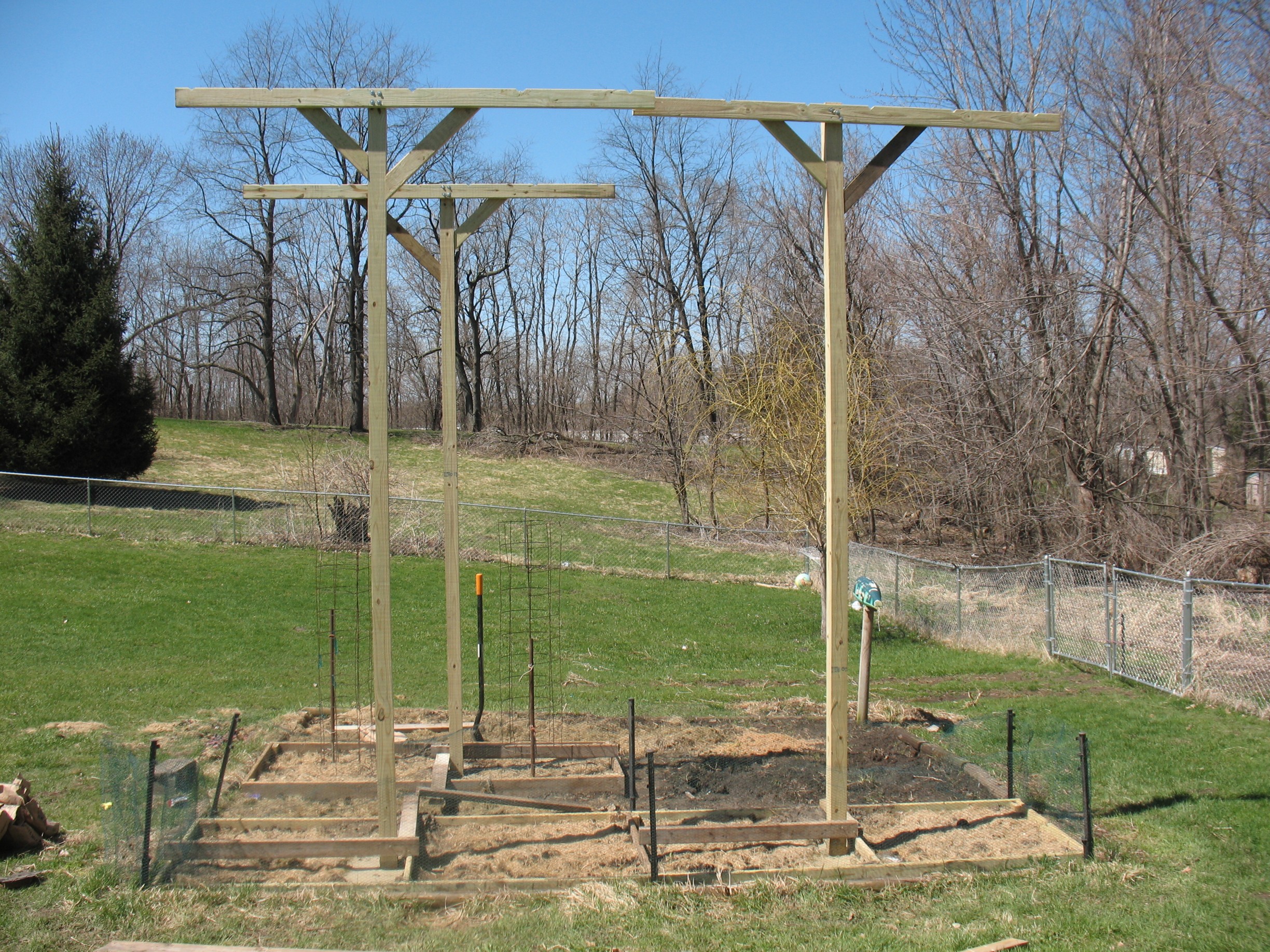 TRELLIS3