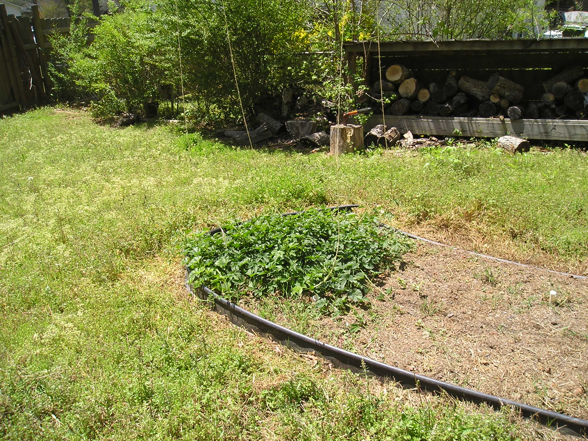 P1010166