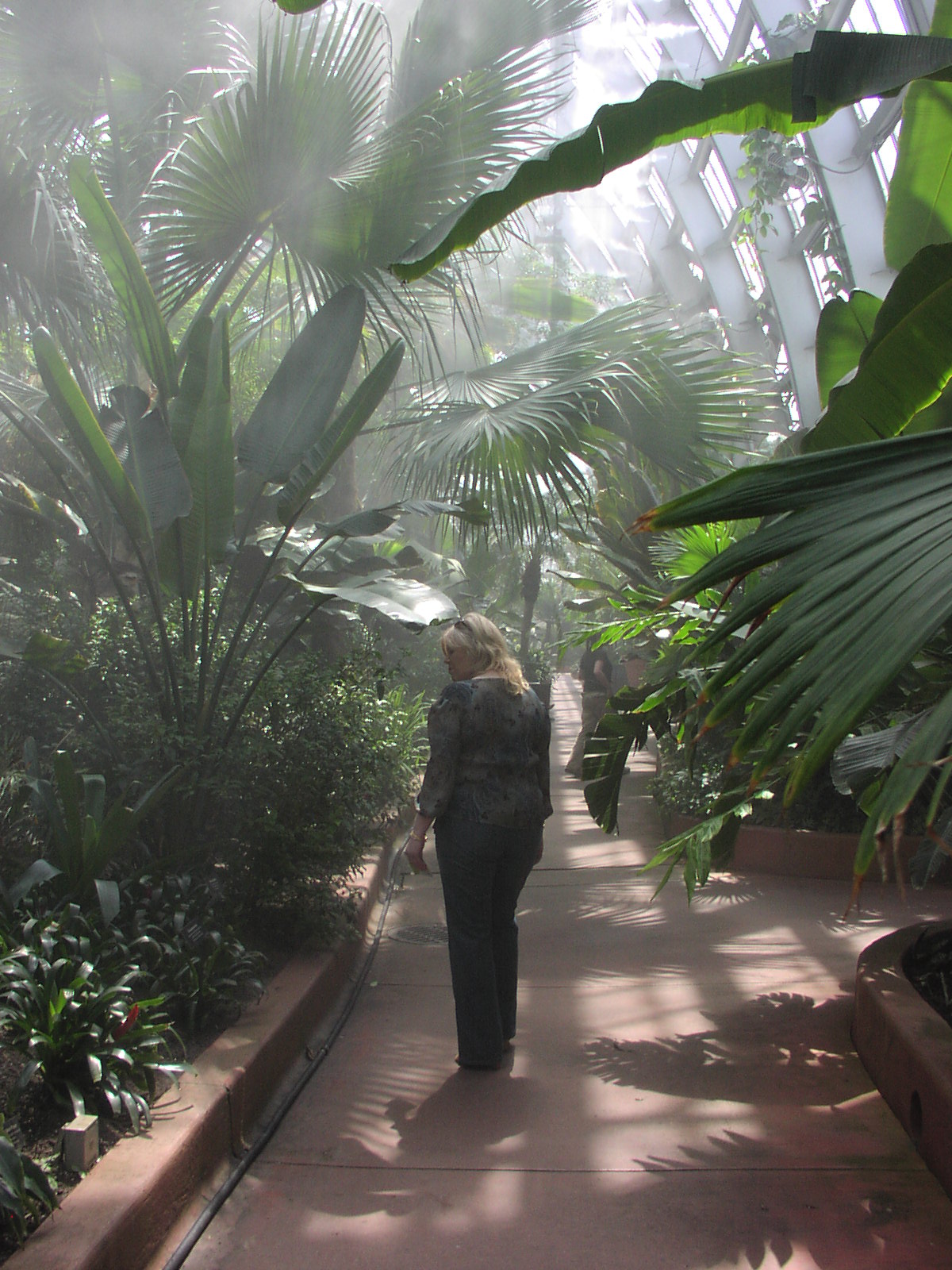 GarfieldParkConservatoryTrip