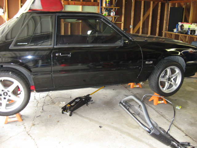 Mustang5