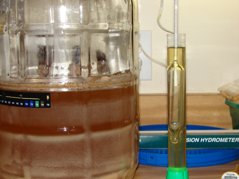 Mead_1