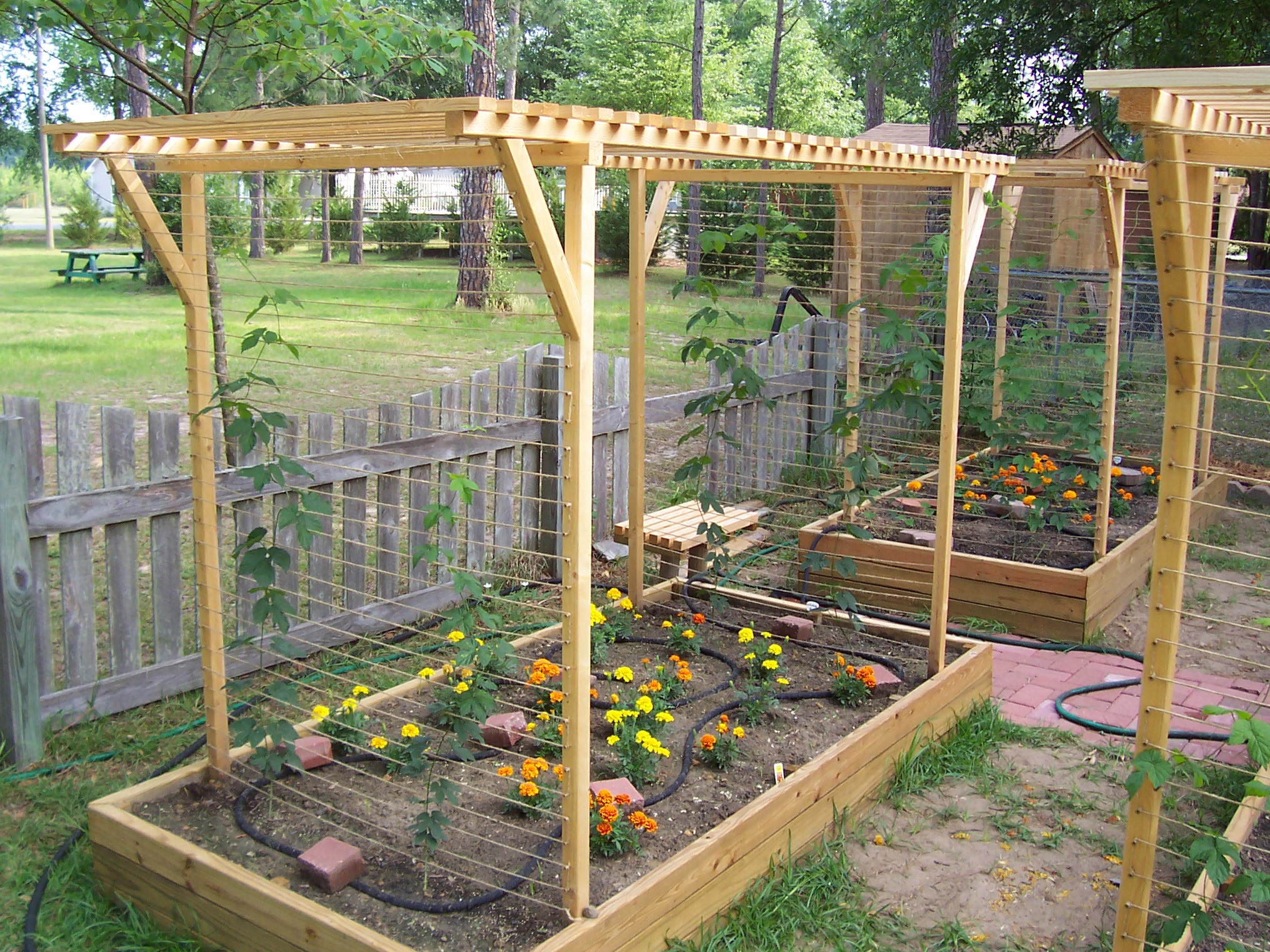 HopGarden2008