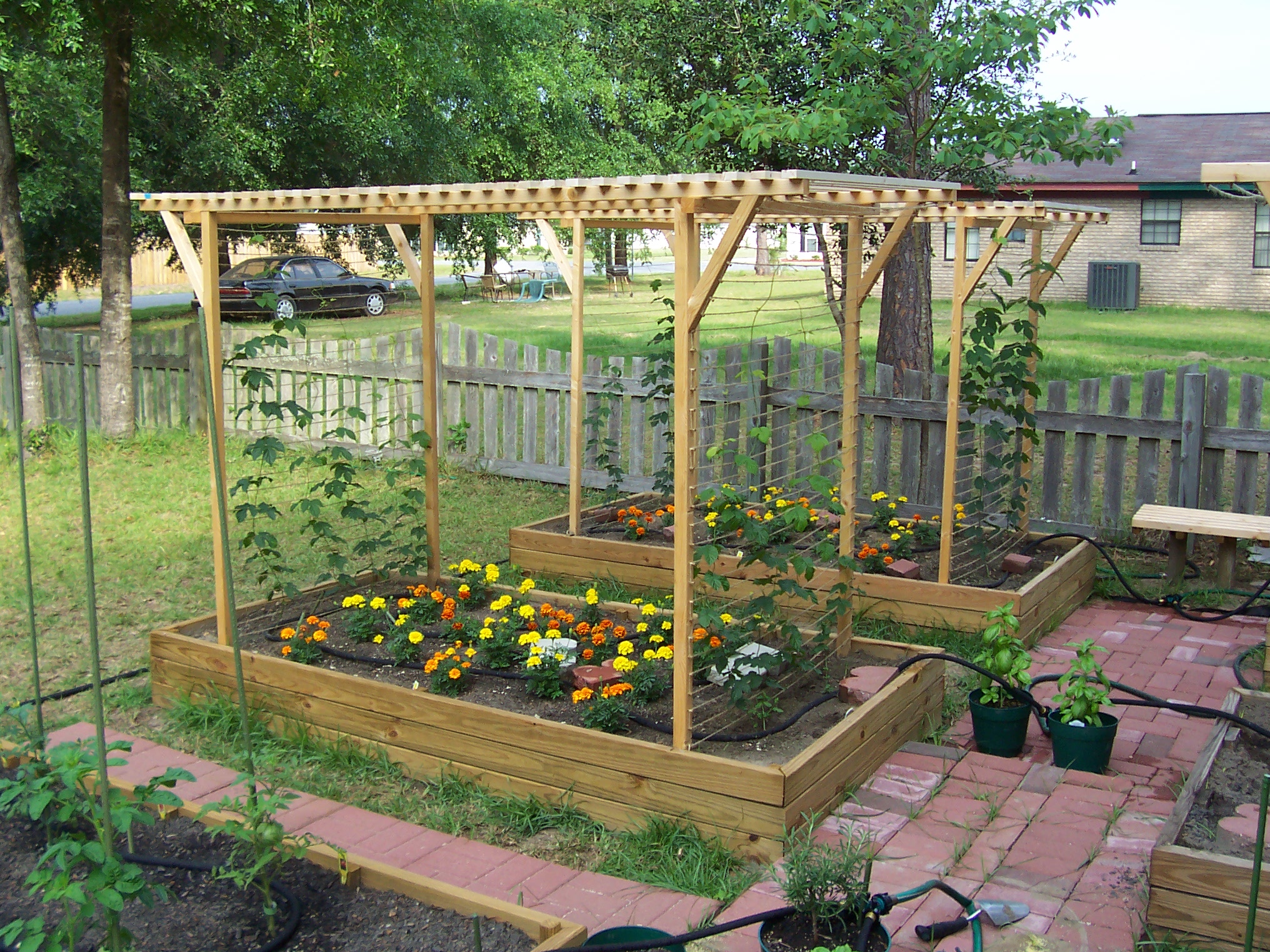HopGarden2008