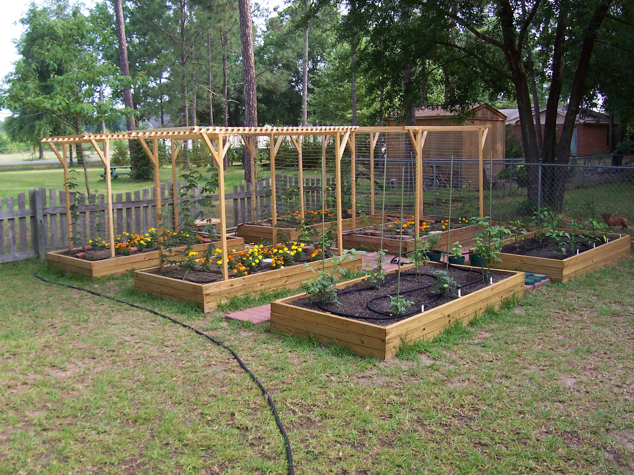 HopGarden2008