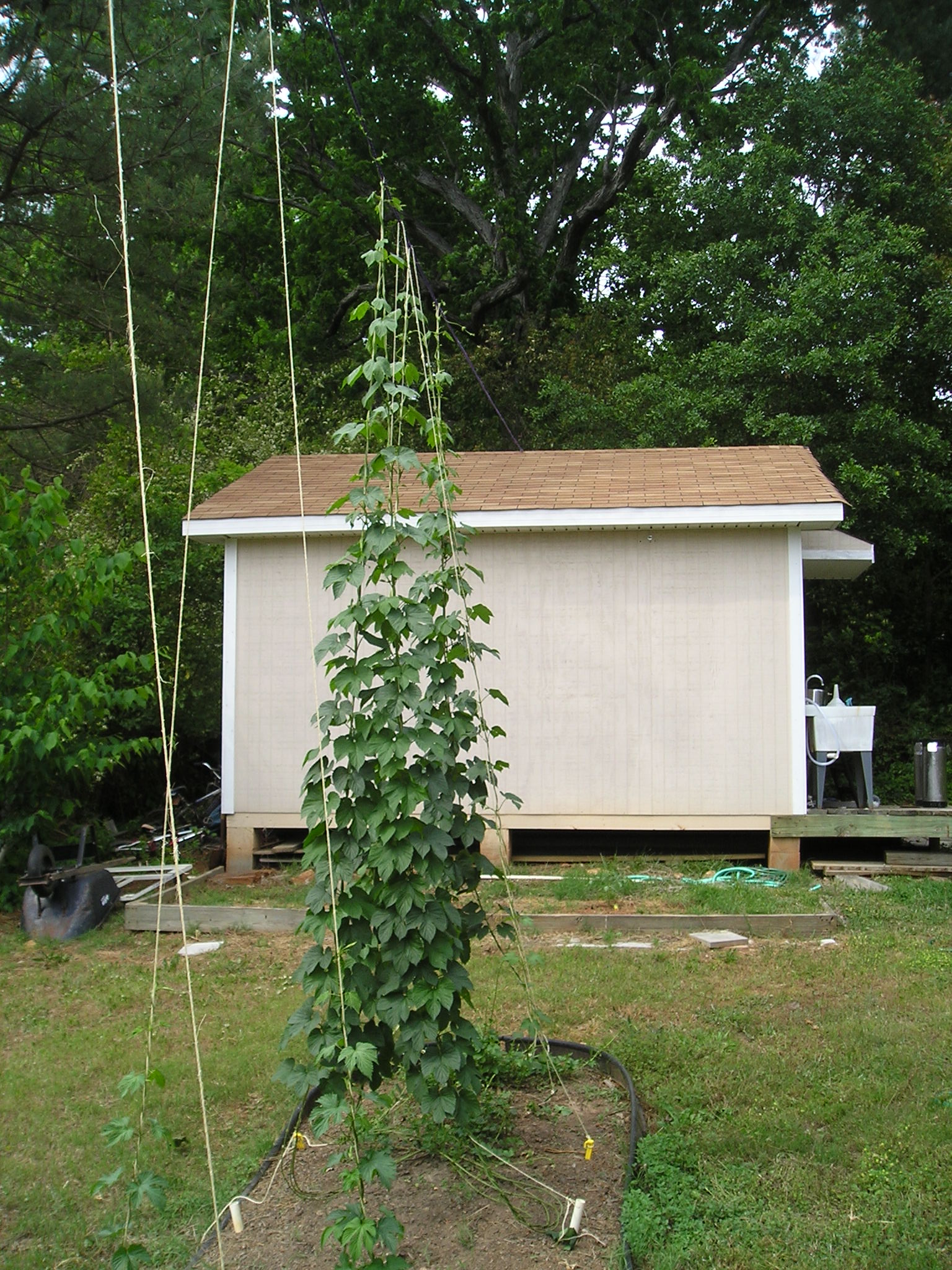 P1010168