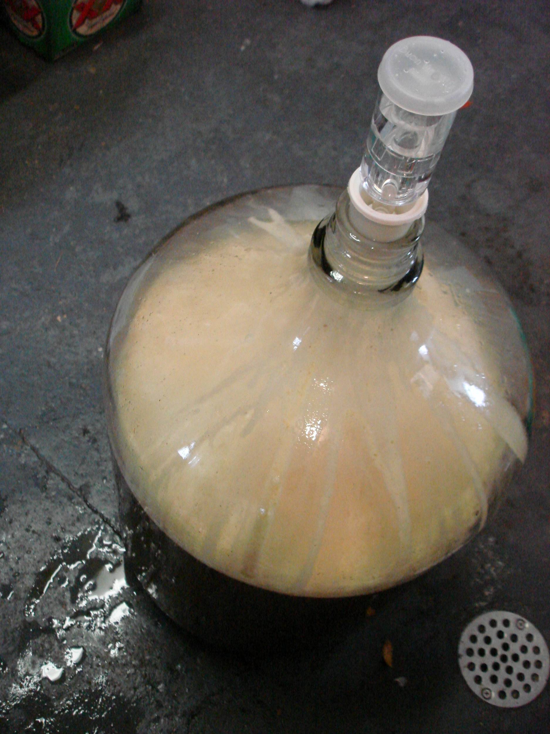 carboy1