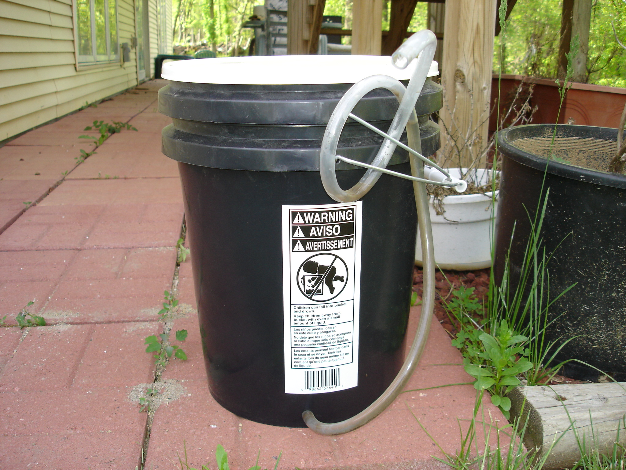 2008_hops_III_005