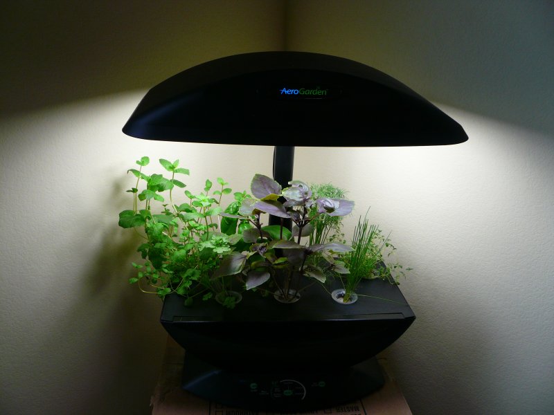 AeroGarden