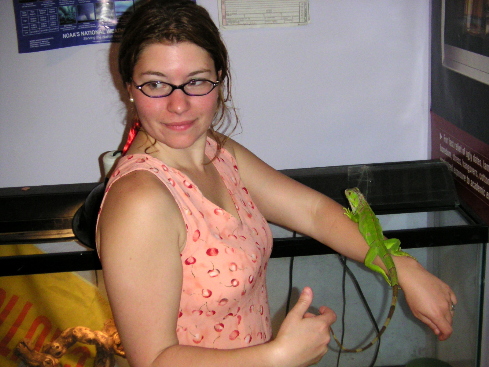 iguana6a