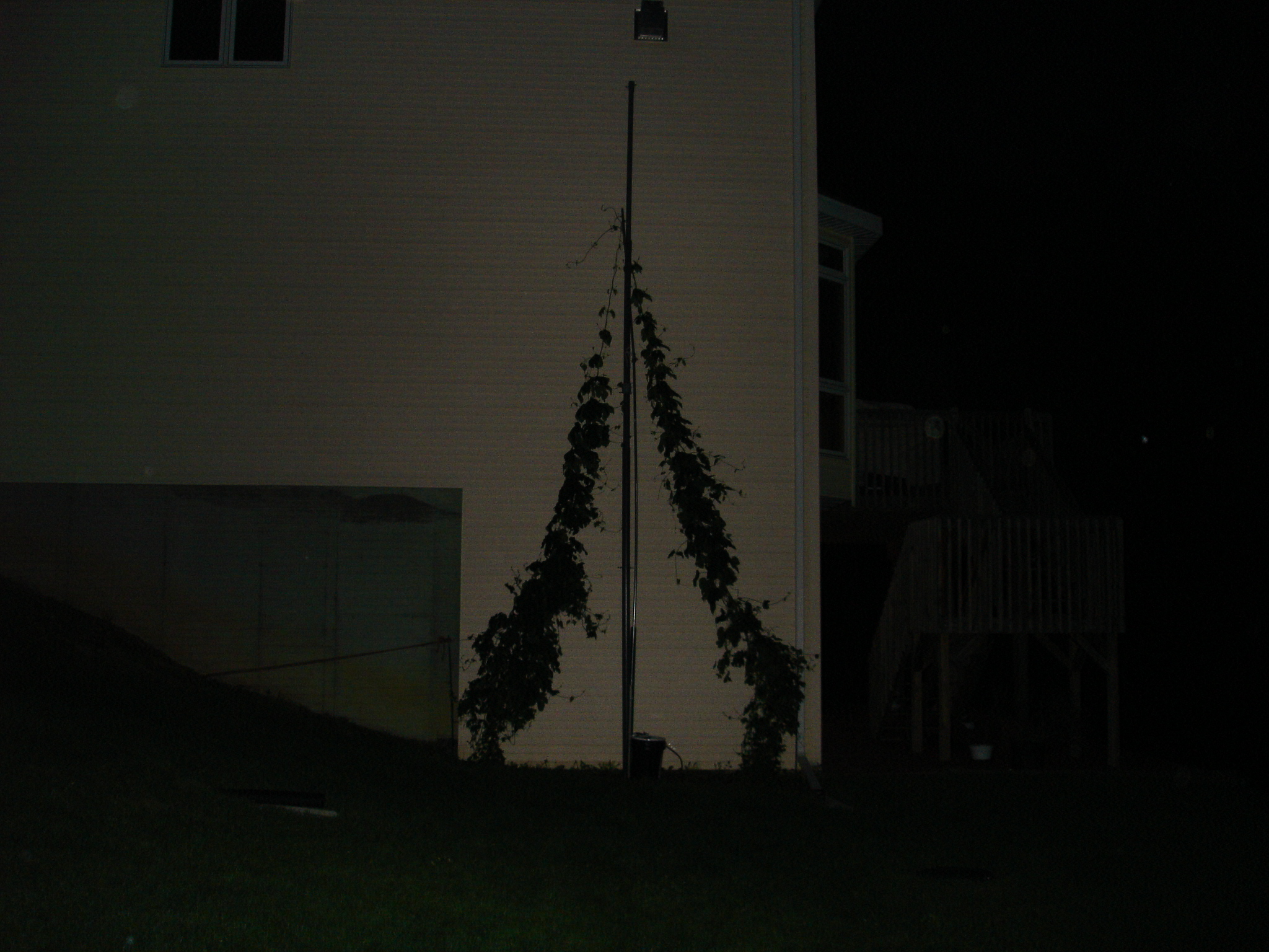 Hop_pole-Ext_001