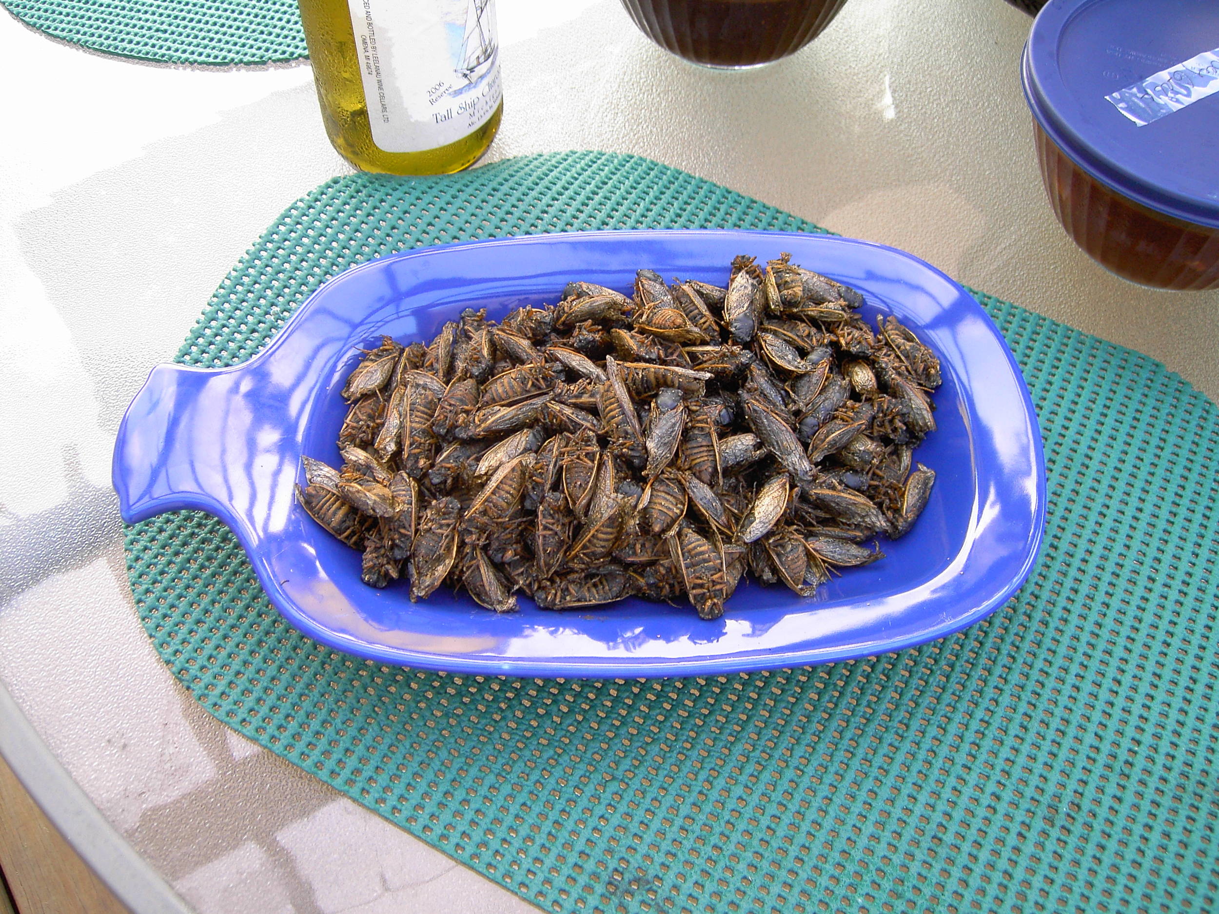 grilledcicadasreadytoeat
