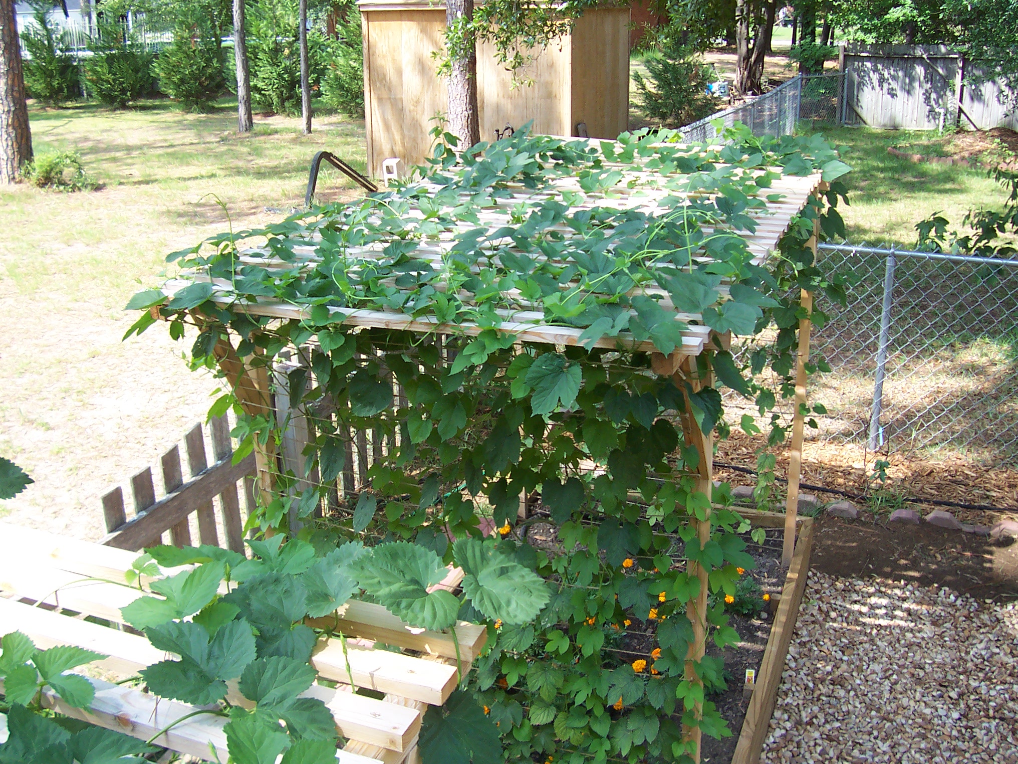 4Cascade1raisedbed