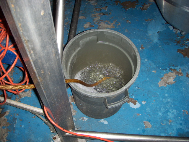 SaintArnoldsBlowOffBucket