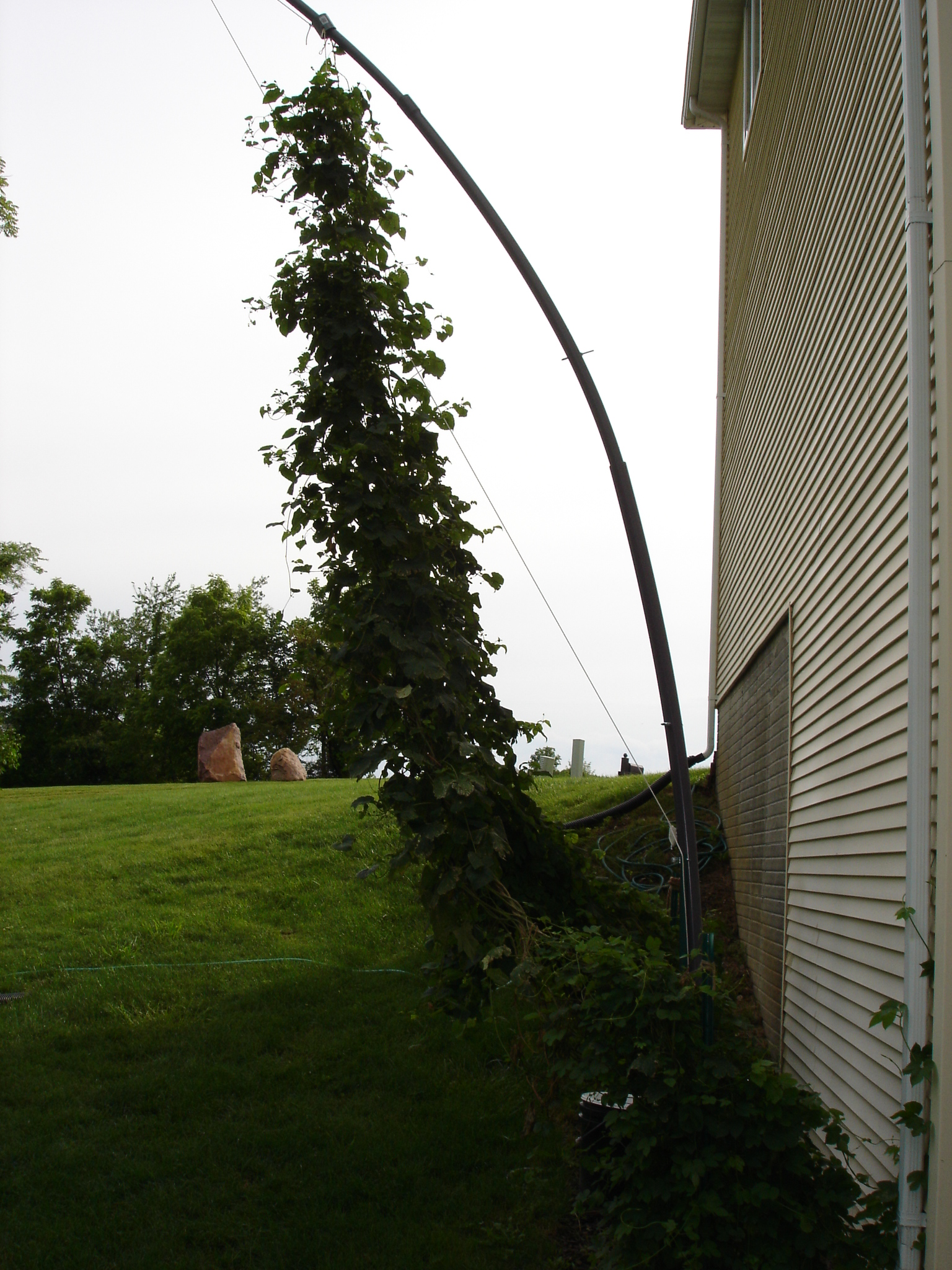 2008_Late_June_001