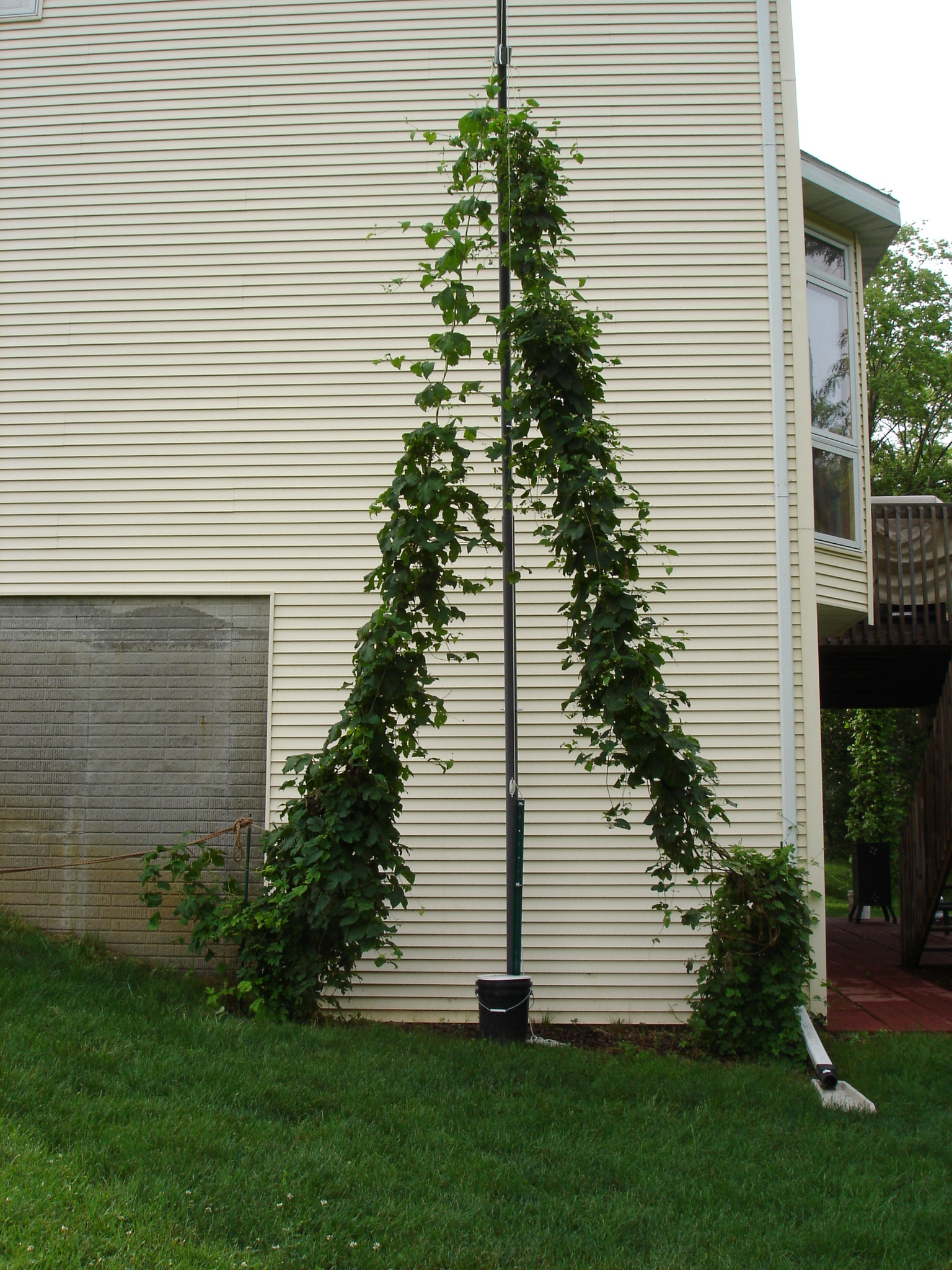 2008_Late_June_003