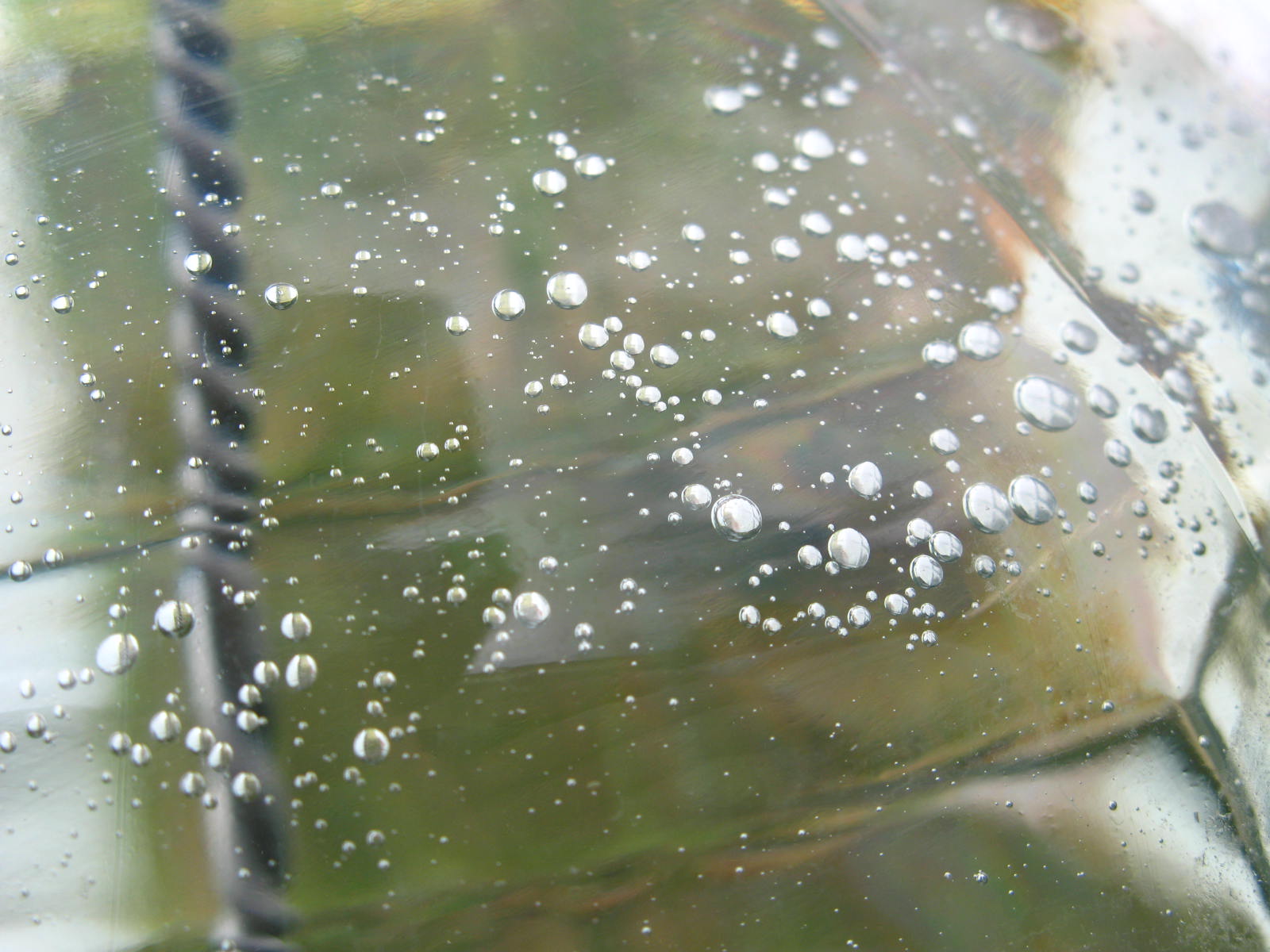 Oily_Bubbles
