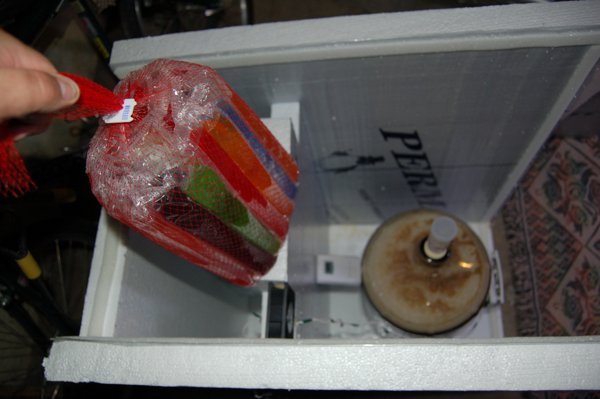 Bag_O_Freezer_Pops