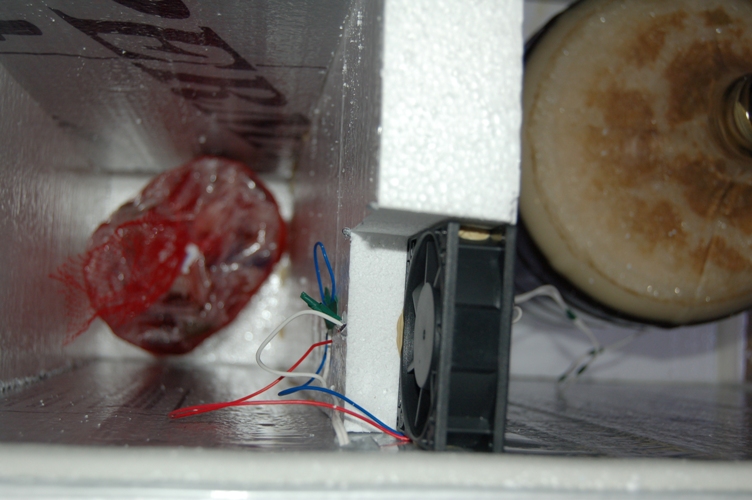 Fan_Wiring