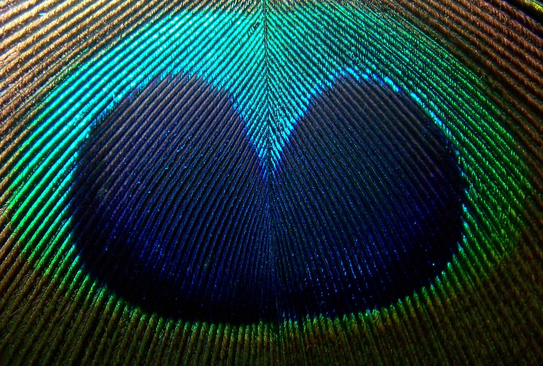 000_00311