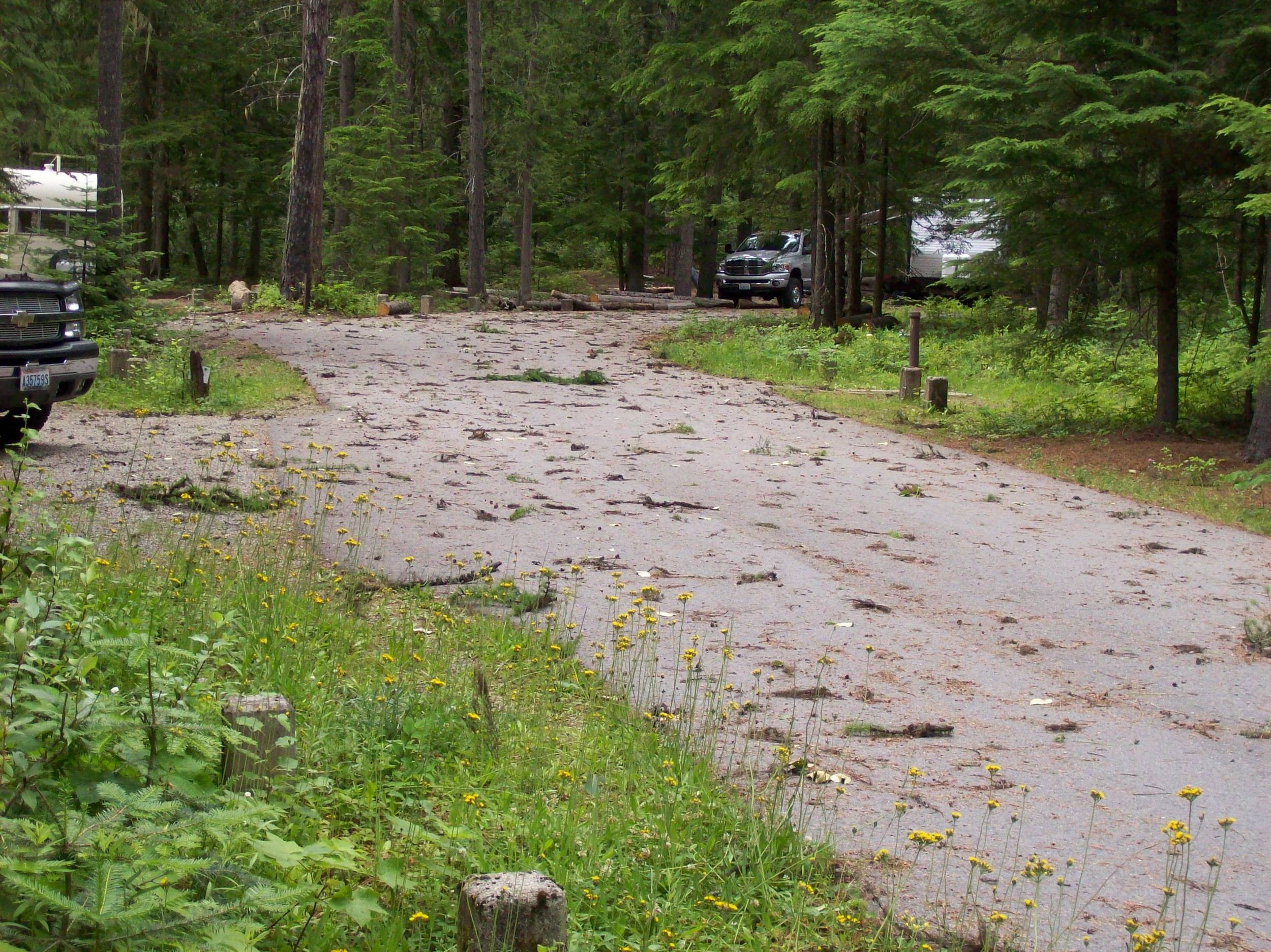 Nastywindstorminthecampground
