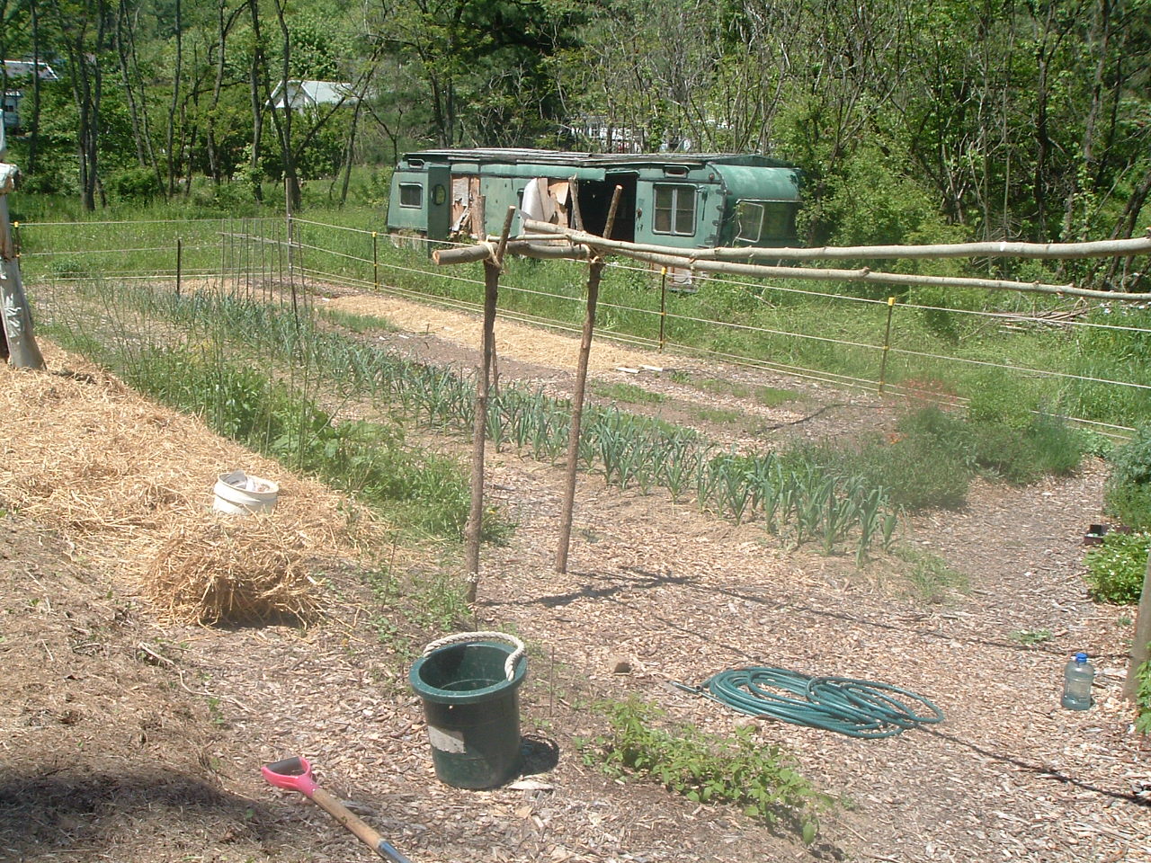 Partofthegarden