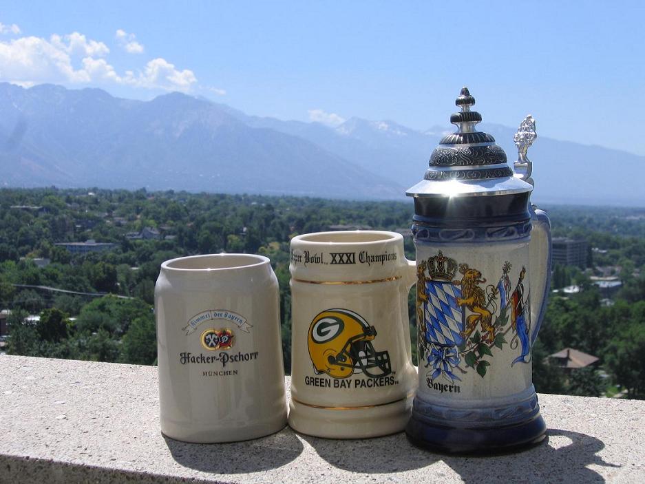 Steinswithamountainview