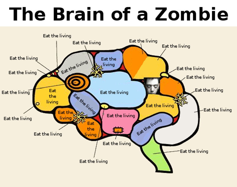 ZombieBrain