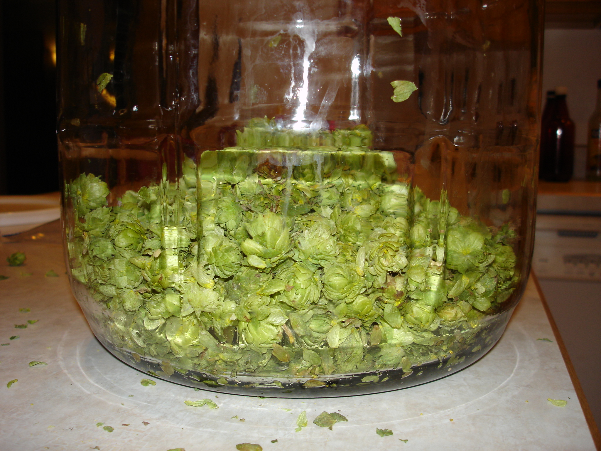 2008_Haus_Amber_001