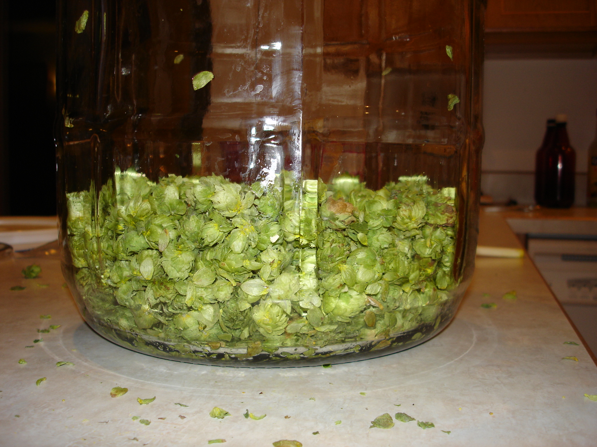 2008_Haus_Amber_002