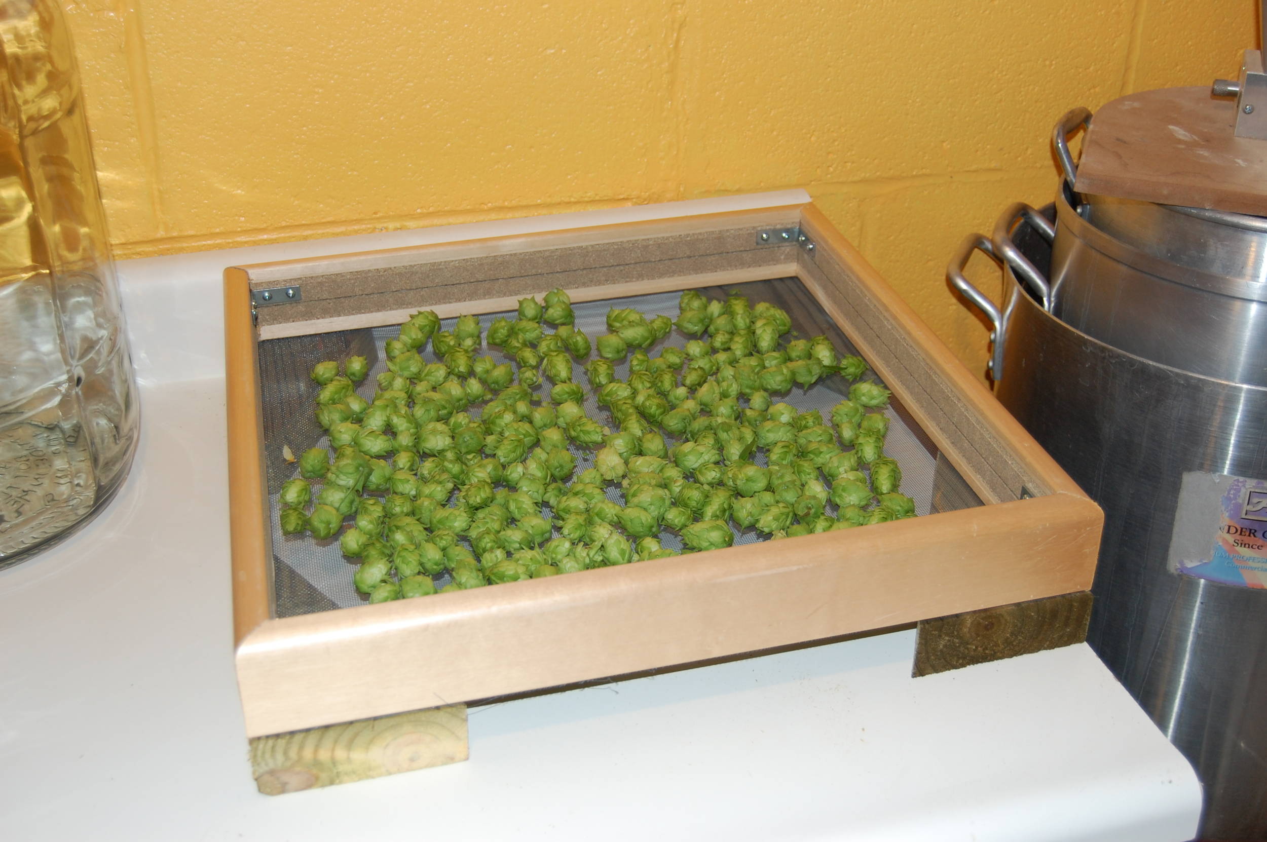 hops10