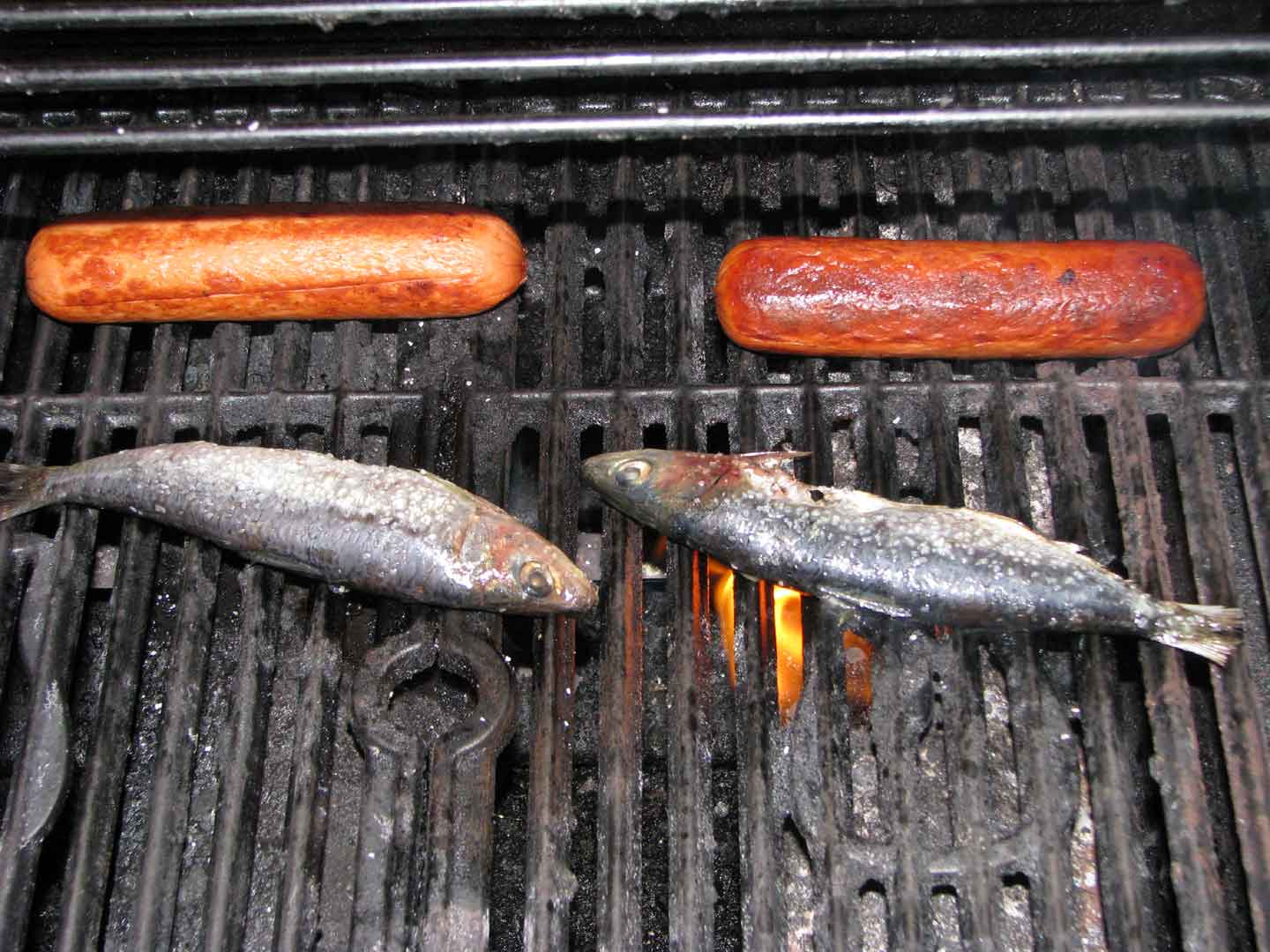 GrillingacoupleofSardines