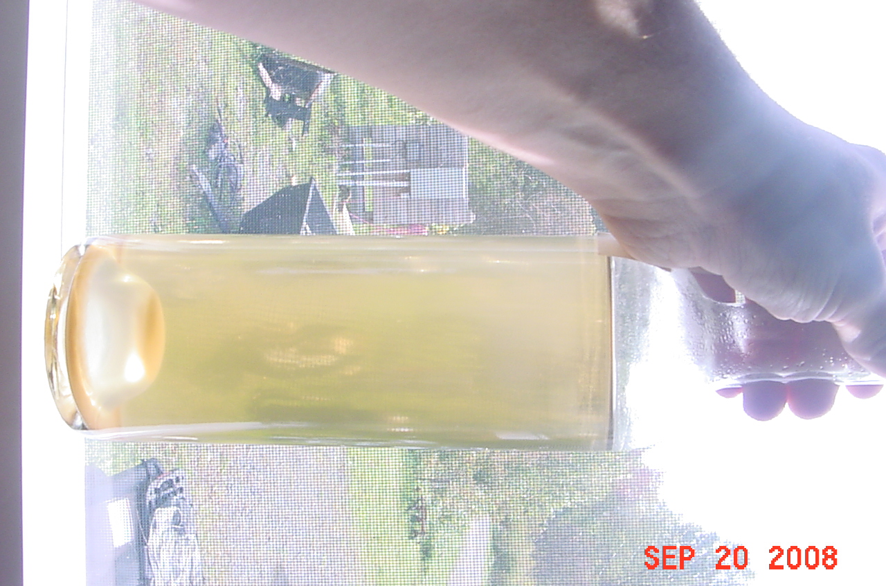 DSC00060