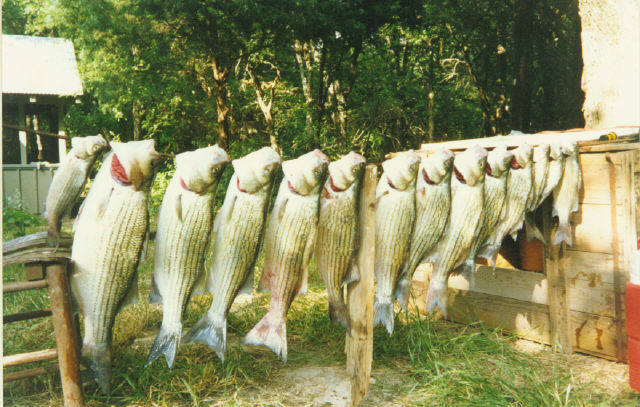 Image01