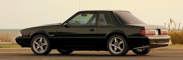 MYMustang
