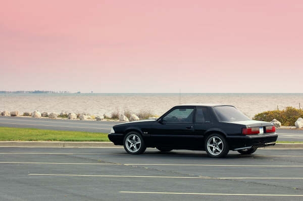 Mustang1