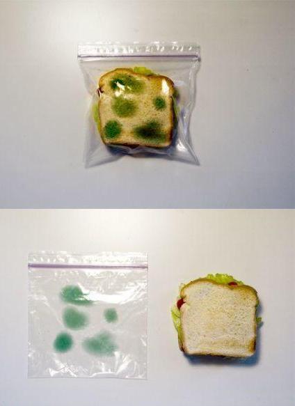 sandwich protection.jpg