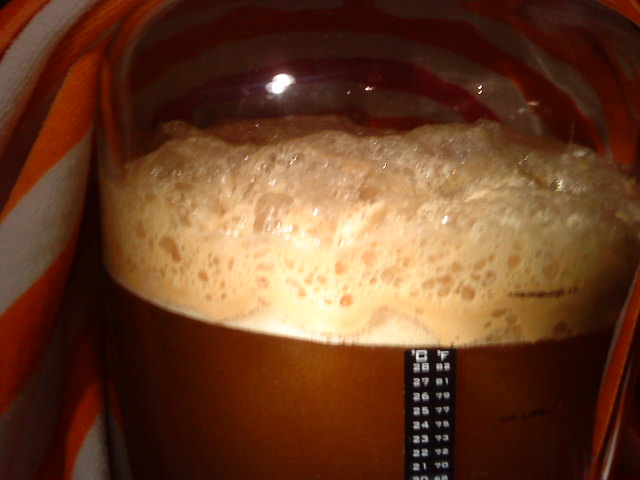 Fermentation day 3.JPG